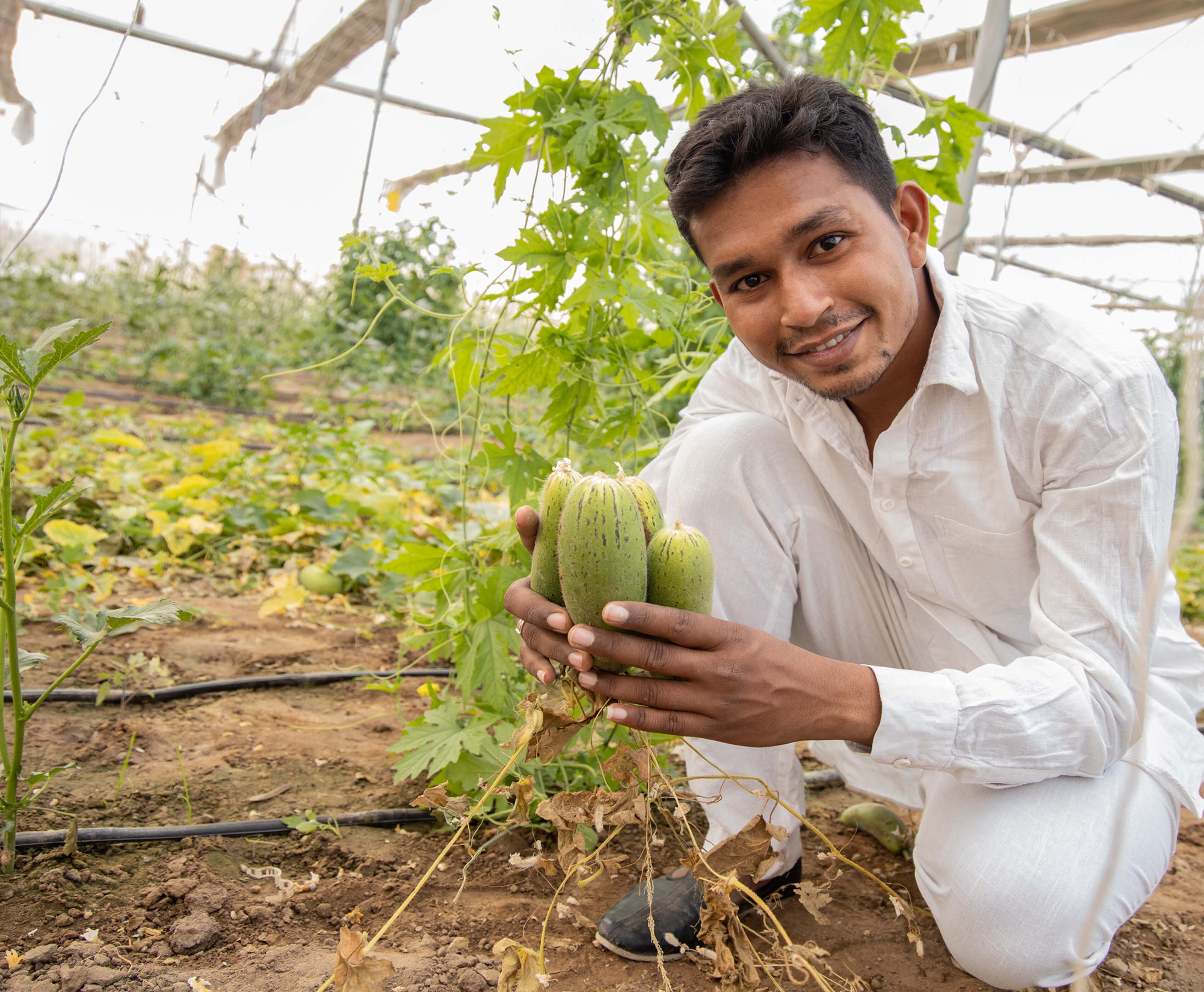 Pilot Program - Agri Food Immigration - Banner Image 