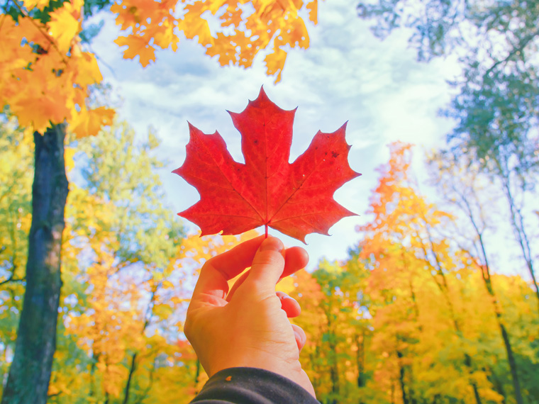 what you need to know when youre moving to Canada as a newcomer